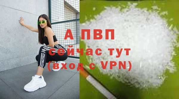 spice Беломорск
