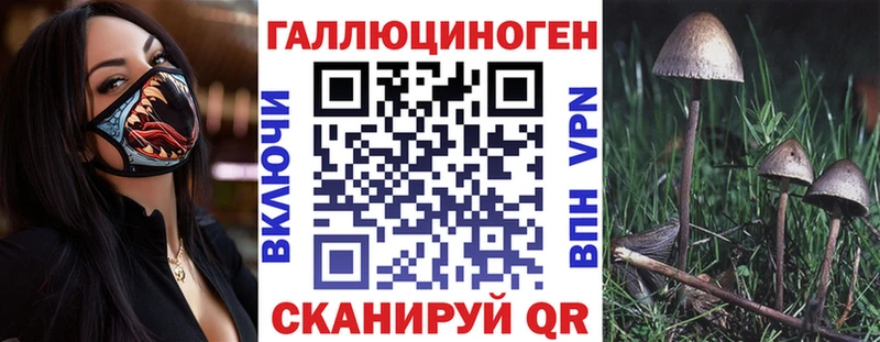 Галлюциногенные грибы GOLDEN TEACHER  Вытегра 